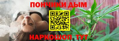 сатива Новозыбков