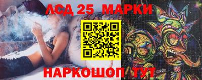сатива Новозыбков