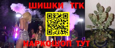 сатива Новозыбков