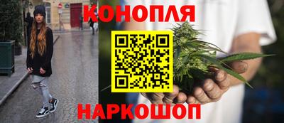 гашик Новокубанск