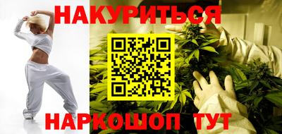 гашик Новокубанск