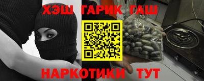 сатива Новозыбков